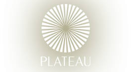 Plateau | D&D London